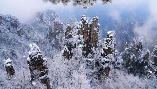Zhangjiajie January Weather Guide: Temperature, Dressing & Attraction Tips