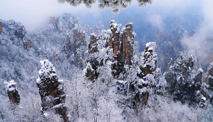 Snow Scenery in Zhangjiajie