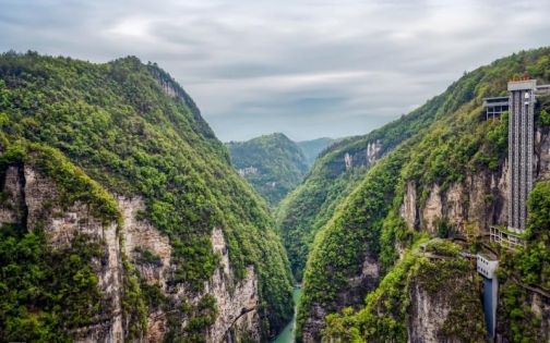 Zhangjiajie Grand Canyon Travel Guide: Glass Bridge, Canyon Hiking and Visitor Tips