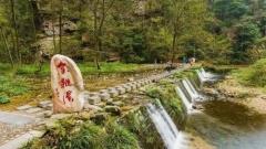 What's The Most Hassle-free Way to Visit Zhangjiajie National Forest Park?