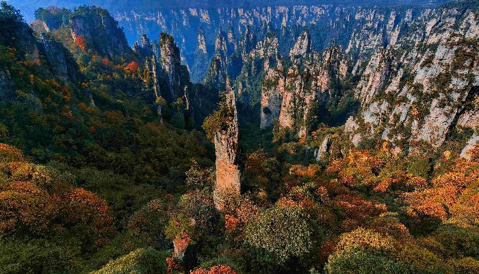 Tianzishan Mountain In Autumn, Zhangjiajie