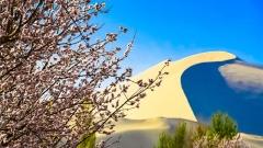 Dunhuang Travel in April: Encounter the Most Beautiful Gobi Spring
