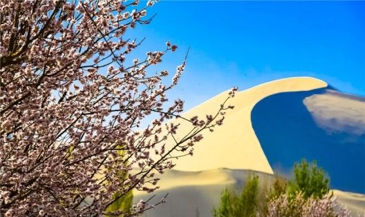 Dunhuang Travel in April: Encounter the Most Beautiful Gobi Spring
