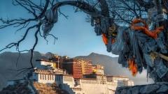 What Precautions Should Be Taken When Taking Photos in Tibet?