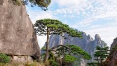 The Most Beautiful Places in China｜The Perfect Integration of Nature, Culture and Harmony