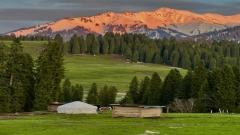 Kuerdening Forest Park Self-Drive Guide 2025 : Ili’s Most Underrated Spruce Forest Escape