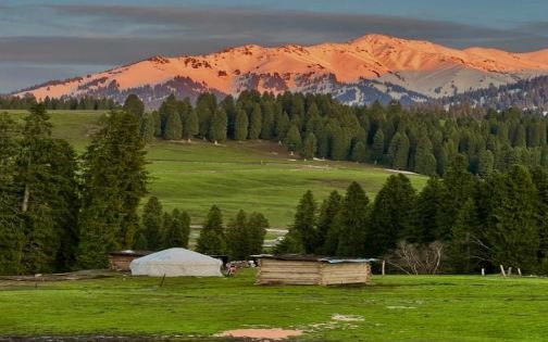 Kuerdening Forest Park