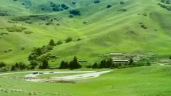 Nalati Panlong Valley Trail – 4-Hour Fairy Tale Grassland Quick Guide