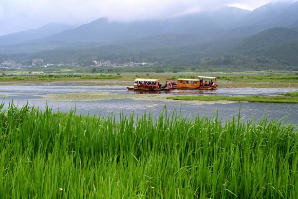 Beihai wetland scenic spot, Tengchong City, Yunnan Province, China Beihai Wetland is the only subtropical volcanic dammed lake swamp wetland in southwest China and one of the national key wetlands. The beautiful scenery here, flowers often open, rich and diverse natural vegetation, geological structure magical complex, has a very high tourism and scientific investigation value, is now a national AAAA tourist scenic spot. Beihai wetland is a natural reservoir on land, which plays a very important role in flood storage, drought resistance, runoff mitigation, climate regulation and pollution prevention.
