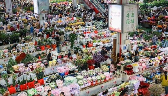 Dounan Flower Market in Kunming