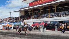 How to Enjoy Horse Racing Festivals During Travel in Tibet?
