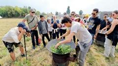 How to Travel from the USA to Yunnan: Visas, Flights, and Travel Planning Guide