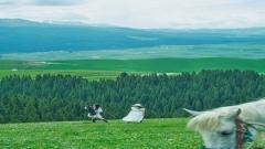 Qiongkushitai Travel Guide:Front Mountain vs. Back Mountain (Routes, Stays, Tips & Mistakes to Avoid)