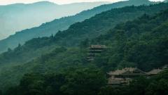How to Travel from Chengdu to Qingcheng Mountain?