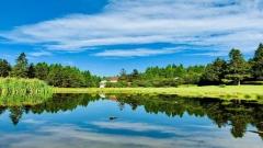 Wulong Karst Travel Guide: Top Attractions + Best Time to Visit