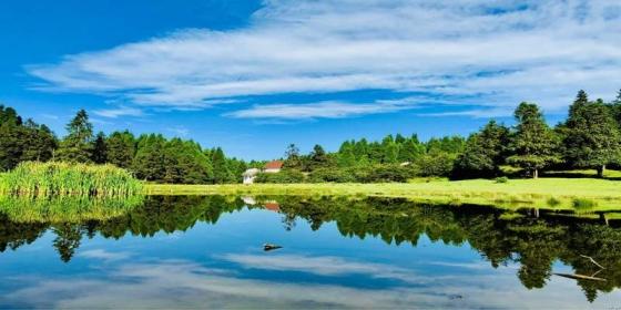 Wulong Karst Travel Guide: Top Attractions + Best Time to Visit