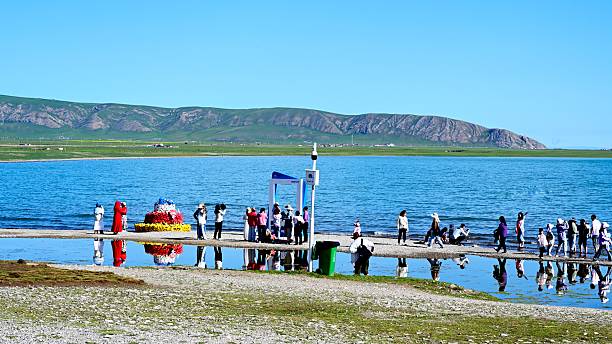 Qinghai Lake is located in the northeastern part of the Qinghai-Tibet Plateau. It is the largest inland saltwater lake in China, with an area of 4,625.6 square kilometers and a water volume of 74.3 billion cubic meters. Qinghai Lake is a typical representative of the plateau inland lake wetlands in the world and is known as the "climate regulator" in northwest China. The scenery along the lake is beautiful, Many tourists come here to have fun.