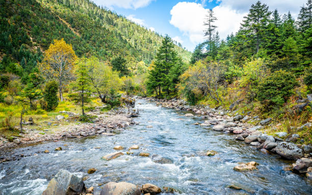 Mountain stream and landscape view of Potatso national park in Yunnan China