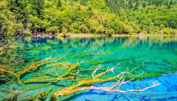 Jiuzhaigou Five-Flower Lake