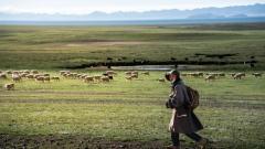 Northern Tibet Grasslands Travel Guide : Zhongba Self-Drive, Altitude Tips & Route Planning