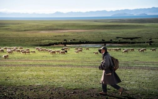 Northern Tibet Grasslands