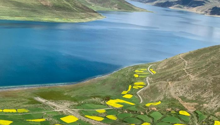 Tibet Yamdrok Lake in Summer