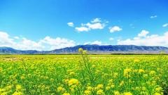 Best Time to Visit the Hexi Corridor in Gansu: Seasonal Scenery & Travel Tips
