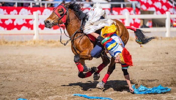 Tibetan Rider Picking Up Hada on Horseback