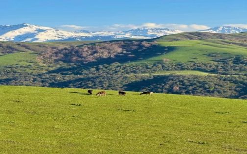 Kuerdening Forest Park