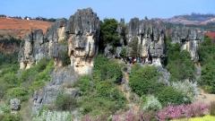 Kunming Stone Forest Travel Guide: Tickets, Best Time, and Must-See Highlights