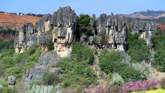 Kunming Stone Forest Travel Guide: Tickets, Best Time, and Must-See Highlights