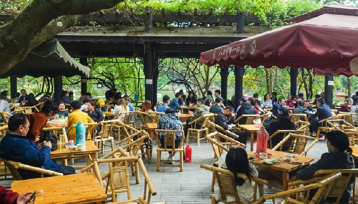Gaiwan Tea in Chengdu People's Park