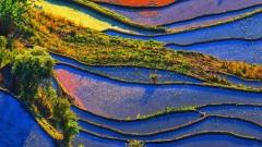 Yunnan Yuanyang Terraced Fields Travel Guide | Enjoy the Earth's Painting