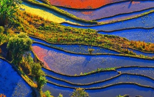 Laohuzui Terraced Fields