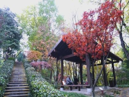 Chengdu People's Park in October