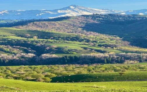 Kuerdening Forest Park