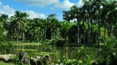 Practical Guide to Yunnan's Tourist Cities: Costs, Transport, Accomm & Itinerary Plan