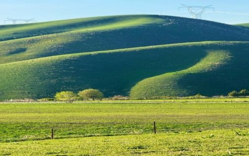 Kuerdening Forest Park