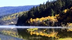 Complete Guide to Potatso National Forest Park: Unlock the Mystic Highland Sanctuary of Shangri-La