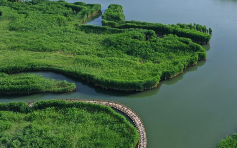 Zhangye National Wetland Park