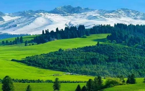 Kurdening Forest Park