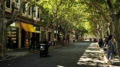Shanghai City Walk Guide: The Most Interesting Neighborhoods