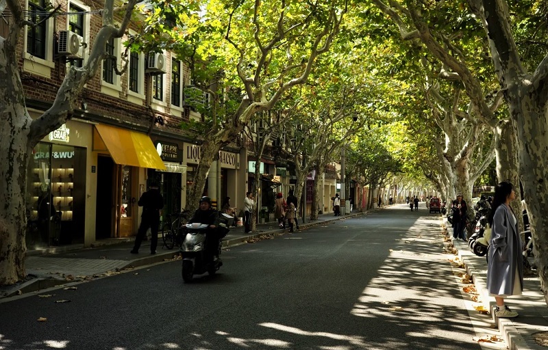 Shanghai City Walk Guide: The Most Interesting Neighborhoods