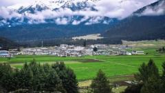 Lulang Forest Travel Guide : Tibet’s Fairy-Tale Alpine Forest Hidden in Nyingchi