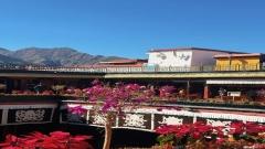 Jokhang Temple Travel Guide (Complete Visitor Guide to Lhasa’s Spiritual Heart)