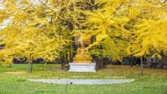 Xi'an Autumn Travel Guide (September–November): Explore Xi'an with Ease and Avoid Common Pitfalls