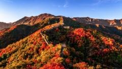 Common Pitfalls for Foreigners in Beijing: Pre-Trip Guide to Avoid Troubles