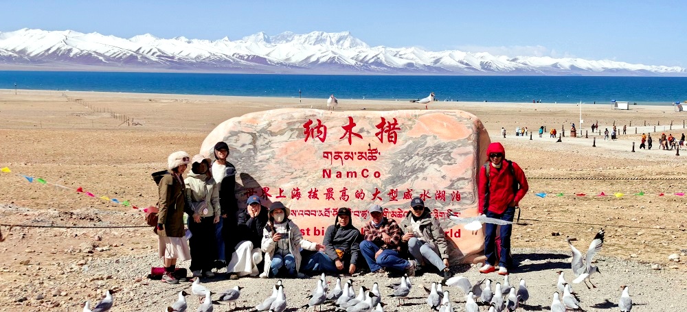 9 Days Tibet Shoton Festival Tour: Lhasa, EBC, Yamdrok Lake & Namtso