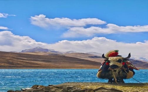 Yamdrok Lake