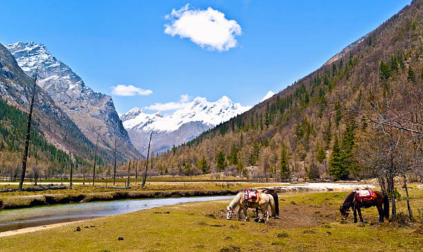 Changping valley